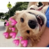❤️MEME DE CORAÇÕES💖 7