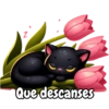 Tulipanes para toda ocasión 🌷 7