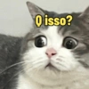 As melhores de Gatinhos 🌻😸 5