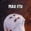 MAU ITU