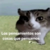 Los pensamientos son cosas que pensamos @michi.shitposting