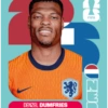 Cromos Seleção dos Países Baixos 🇳🇱 9