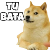Dogs Funny Reactions  12