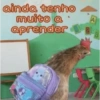 ainda tenho
muito a
aprender
2
A