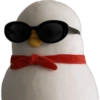 Memes  5