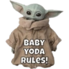 BABY YODA RULES!