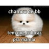 Flerte safadinhos 6