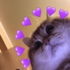 ❤️MEME DE CORAÇÕES💖 5