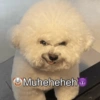 ANIMALITOS 🥺☀️ 5