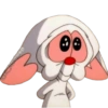 PINKY & CEREBRO 5