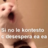 Si no le kontesto c desespera ea ea