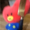 BTS y ARMYS 14 16