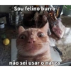 E o narga? 9