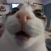 WY