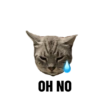 OH NO