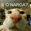 Pior que é  13