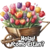 Tulipanes para toda ocasión 🌷 26