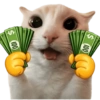 🧿 Gato para molestar 😋😂🐱 13