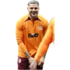 Galatasaray Çıkartmalarım 8