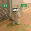 Animais Torcedores Brasil 🇧🇷 19