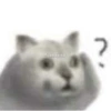 Nao 28
