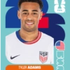 Cromos Seleção dos EUA 🇺🇸 8