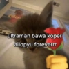 Meme kucing core 🐈 9