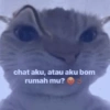 Meme kucing core 🐈 10