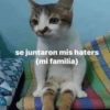 * I se juntaron mis haters (mi familia)