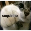 Gatinhos  9