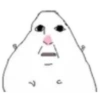 Hamster 6 10