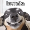 bromita