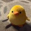 💛🐥Pollitos bonitos🐥💛 10