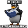 Apani 14