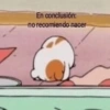 En conclusión: no recomiendo nacer