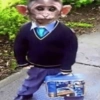 Animalitos tiernos🥰 14