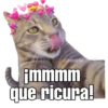 Gatitos amorosos. 8