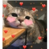 Gatitos heart 3 (mejores) 25