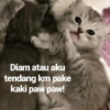Meme kucing core 🐈 7