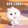 APA СОВА