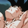 Goku  16