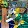Animais Torcedores Brasil 🇧🇷 15