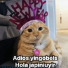 Año nuevo  3