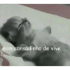 Gatinhos  12