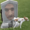 Memes.com.br 24