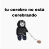 Cod 12