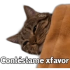 🐱 Gatitos En Secuencia🧩 8