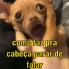 como faz pra cabeça parar de falar