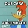 OS MELHORES SHITPOST 13