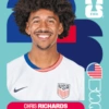 Cromos Seleção dos EUA 🇺🇸 11
